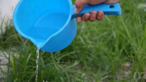 Những công dụng không ngờ của nước rửa bát có thể bạn chưa biết